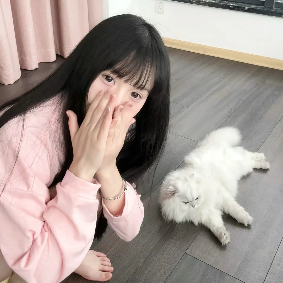 遮天动画版